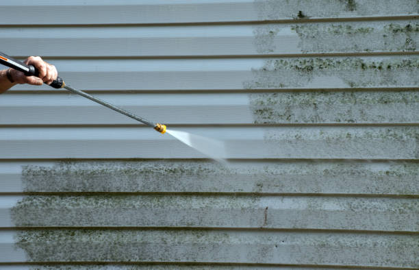 Best Pressure Washing Patio  in Warren, OR